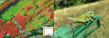 Enlarged view: Modellierung von Graslandnutzung und Biodiversität